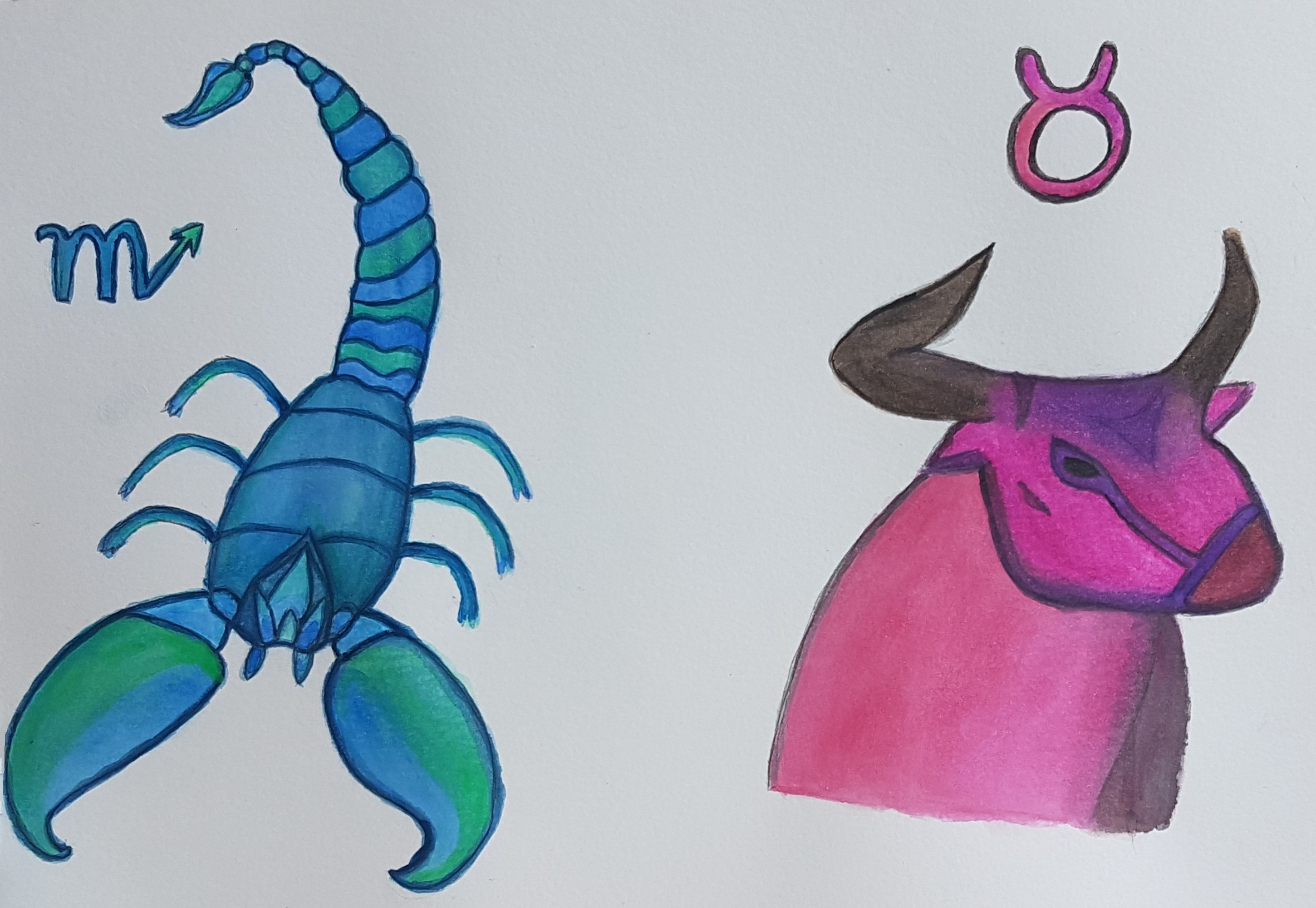 Peinture aquarelle du Scorpion et du Taureau.